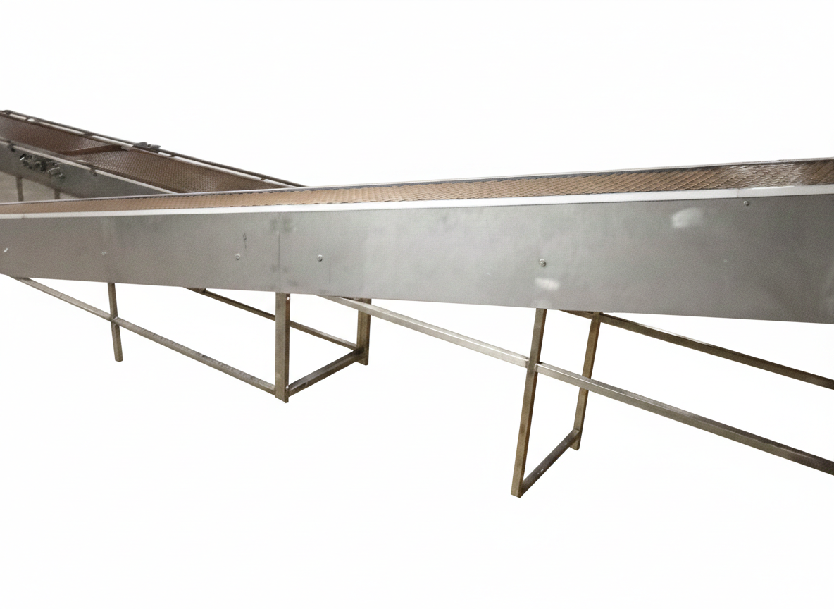 Gemini_Generated_Image_n6jrj2n6jrj2n6jr (1)